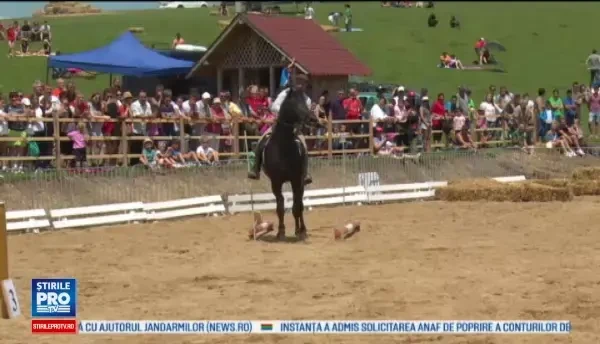 Distractie mare la Runcu, unde are loc Haidook Summer Fest. Pasionatii de echitatie pot admira caii de rasa
