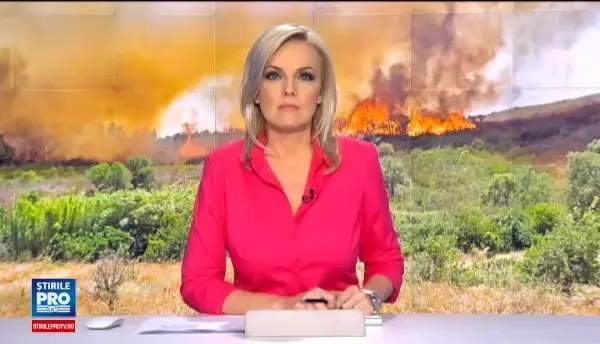 Noi incendii grave de vegetatie in California. O caprioara, filmata alergand ingrozita pe sosea