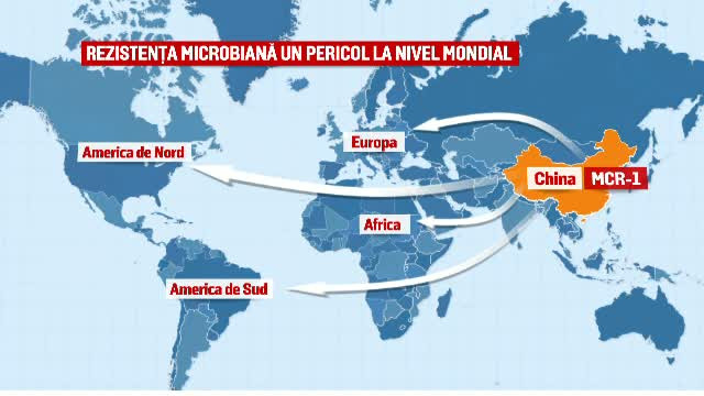 Bacteriile multirezistente, o amenintare pentru viitorul omenirii. Care este legatura cu consumul de antibiotice
