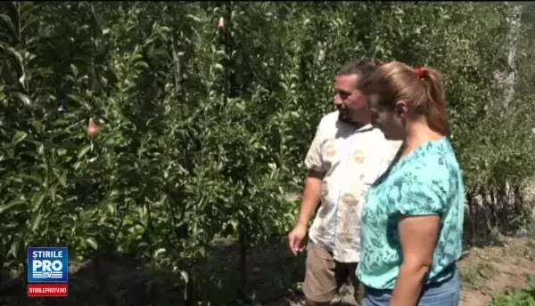 Diaspora Startup Statul le ofera 40.000 de euro romanilor care se intorc din strainatate