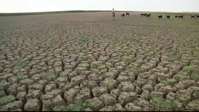 Extinctie in masa a speciilor provocata de oameni. Cum am determinat disparitia a 200 de feluri de vertebrate