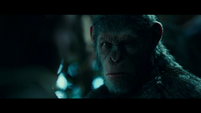 Cel mai nou film din seria "Planeta maimutelor", in cinema, la sfarsitul saptamanii. Criticii spun ca este un "film serios"