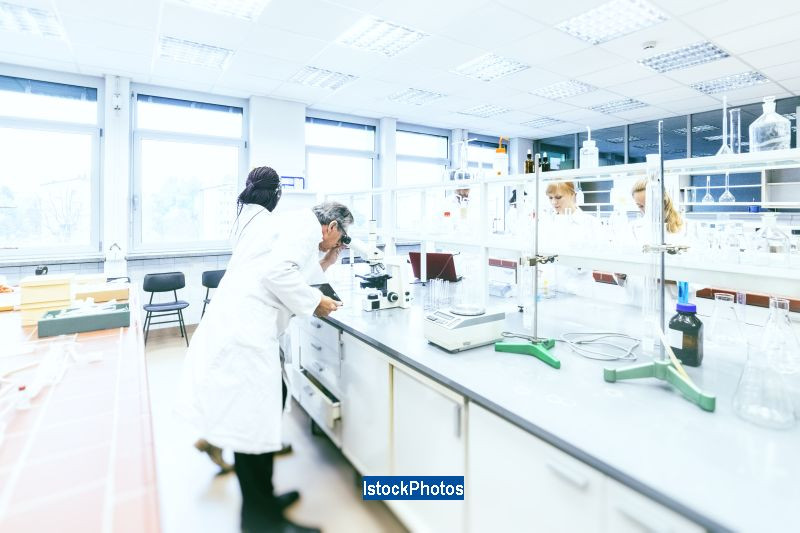 Descoperirea unor cercetatori australieni ar putea salva vietile a sute de copii. Noul fruct descoperit FOTO