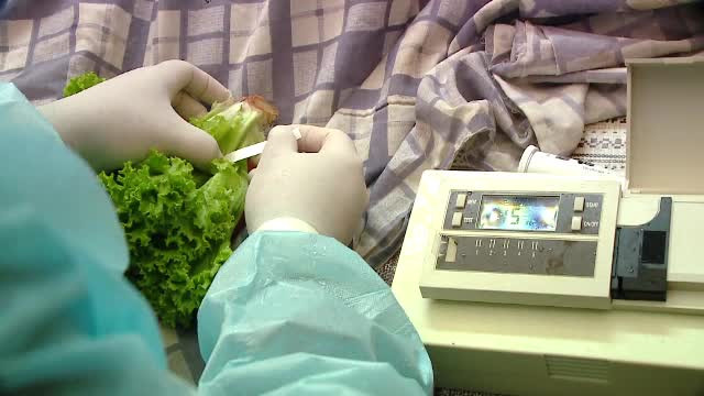 Control cu aparate de ultima generatie in piete, facut de inspectori. Client: "Nu stii ce cumperi in ziua de azi"