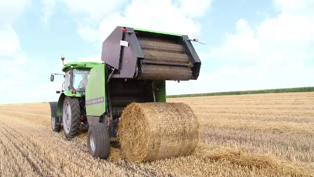 Marii cultivatori, nevoiti sa angajeze straini pe salarii de mii de euro. Localnicii prefera statul acasa si ajutorul social