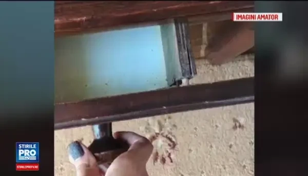 Hoteluri fara nicio stea, dar cu tarife mai mari ca la vilele din Bulgaria. Uite si gandacelul sub perna