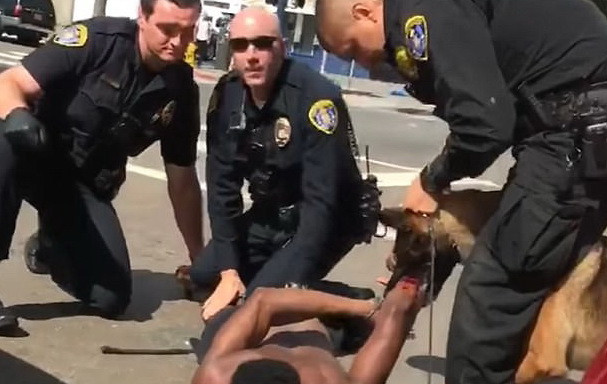 Imagini uluitoare in SUA. Un suspect de culoare a fost muscat de mana de cainele unor politisti albi. VIDEO
