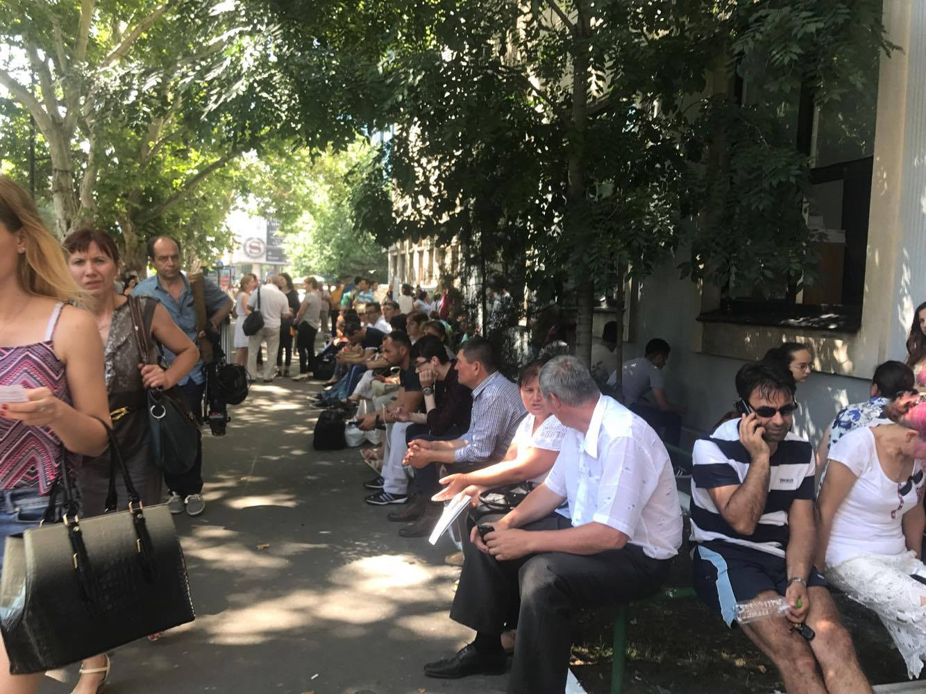 ASE, elevi, inscrieri, aglomeratie