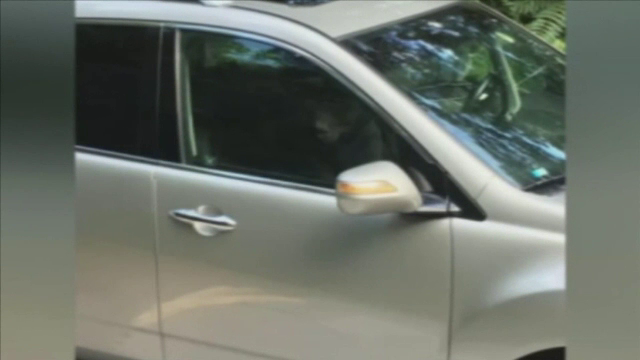 "Sunteti la curent cu ce se intampla in curtea dumneavoastra?" Ce a gasit o familie in masina parcata