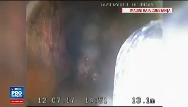 Un mistret a ramas blocat intr-un sistem de canalizare din Constanta. Autoritatile confirma prezenta altor trei exemplare