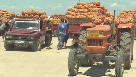 Comuna din Romania ingropata incet de mandria cultivatorilor de cartofi
