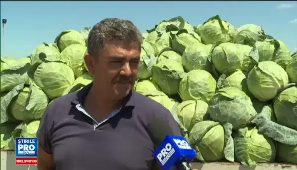 Comuna cunoscuta in toata Romania pentru productia de cartofi, ingropata incet, incet de mandria agricultorilor