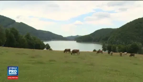 Valea Doftanei, locul din Prahova unde gasiti peisaje salbatice, una dintre ultimele paduri virgine si vestita cascavea