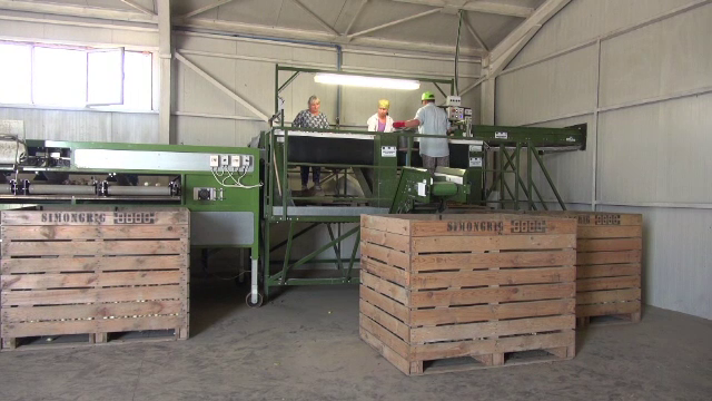 Scolile agricole ar putea fi o solutie pentru agricultura. Paradoxal, unde sunt scoli profesionale, absolventii sunt someri