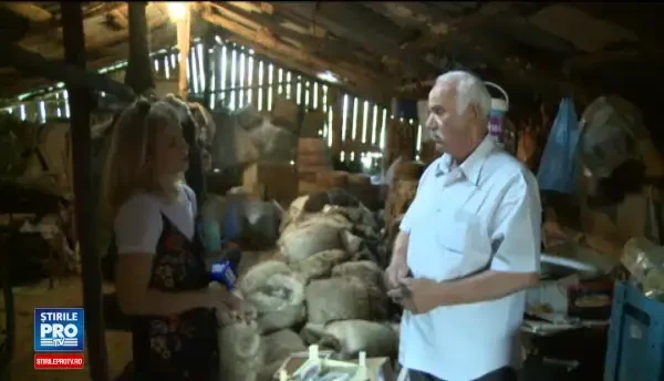 Ciobanii se plang ca nu mai au cui sa vanda lana si ii dau foc. Pana in 1989, o vindeam si luam doua Dacii