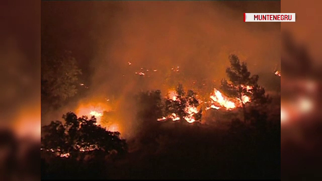 5 tari din Europa se lupta cu incendii periculoase. Pompierii se lupta sa tina flacarile departe de zonele locuite