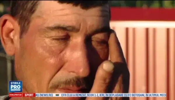 Un barbat din Iasi, tata a 9 copii, a murit dupa ce a fost atacat de un roi de albine. Medic: Erau 5-600 de intepaturi