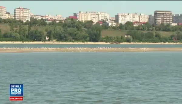 Insula aparuta in mijlocul Dunarii. Explicatia specialistilor pentru fenomenul care se produce foarte rar