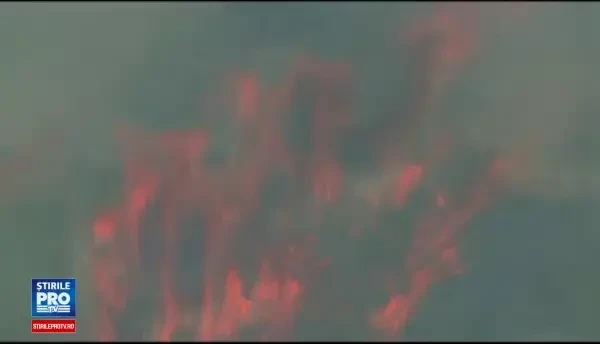 Croatia, afectata de unul dintre cele mai grave incendii de vegetatie din istorie. Un cunoscut oras turistic este afectat