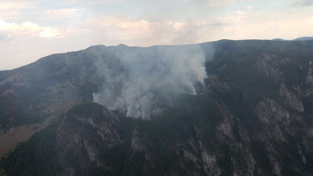 incendiu padure Domogled