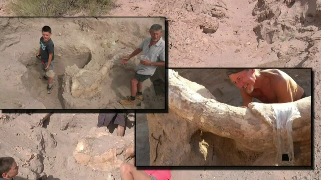 Un baiat de 9 ani a facut o descoperire epocala in timp ce se plimba pe o plaja din New Mexico