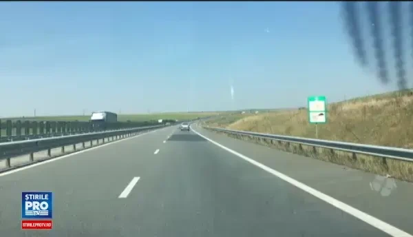 Sentinta in premiera. Ce despagubiri a primit un sofer care si-a avariat masina dupa ce a lovit un caine pe autostrada