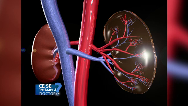 Proteinele de origine animala pot fi daunatoare. Cum putem ajuta organismul sa le elimine corect si eficient
