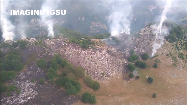 Parcul Domogled este sub amenintarea focului de mai bine de trei zile. Exista riscul aparitiei unor noi focare