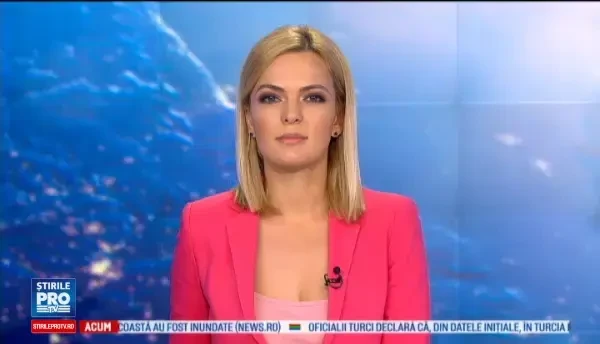 Sentinta in cazul lui Neculai Ontanu, data astazi. In dosar sunt implicati si nepotii lui Gabriel Oprea