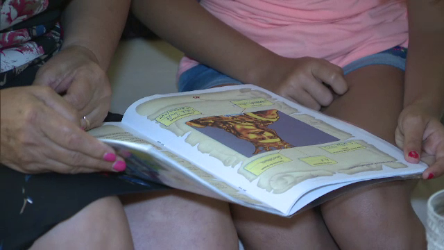 In plina vacanta, Ministerul Educatiei lucreaza la Legea Manualului. Ce variante au profesorii si elevii din toamna