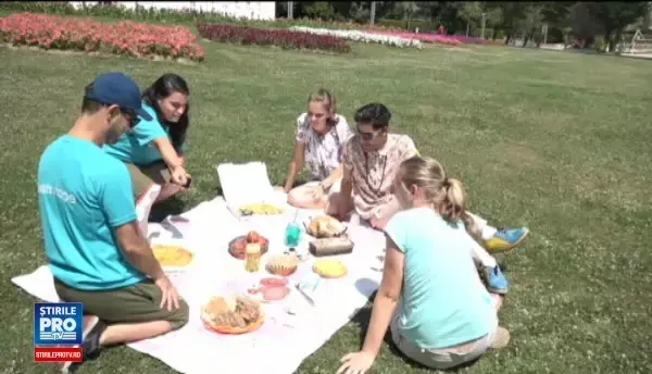 Ziua picnicului, in Baia Mare. Zeci de oameni si-au intins paturile pe un camp si cosurile pline cu bunatati