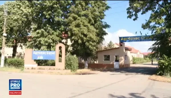 Scolile agricole ar putea fi o solutie pentru agricultura. Paradoxal, unde sunt scoli profesionale, absolventii sunt someri