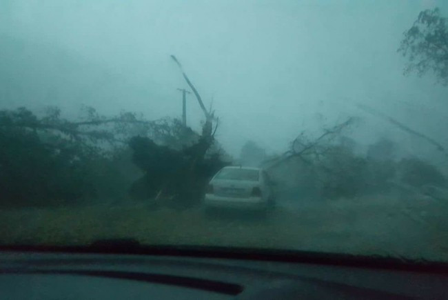 Un mort si 14 raniti in urma unei furtuni puternice in Bihor. Martor: "Oamenii urlau, ii cautam cu lanternele pe sub copaci"