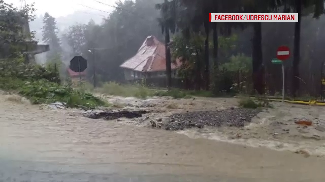 Vremea severa a omorat un om, a ranit aproape 20 si a doborat pomi si podete. "Parca bascula camionul piatra, asa dadea"