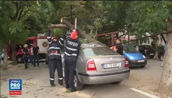 Peste 20 de urgente in Capitala, in urma furtunii de luni seara. Mai multi copaci au cazut peste masini