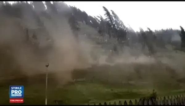 Vremea severa a omorat un om, a ranit aproape 20 si a doborat pomi si podete. Parca bascula camionul piatra, asa dadea