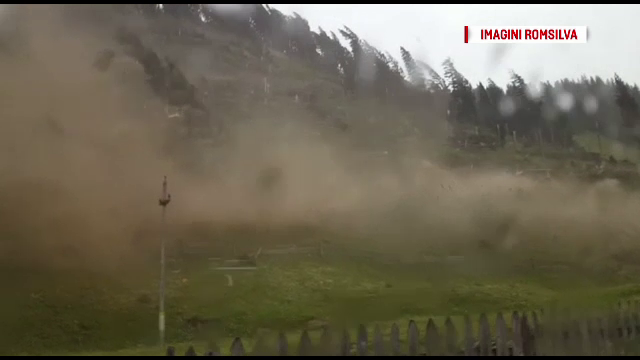 Momentul in care o padure din Suceava este doborata de vijelie, surprins pe camera. Pagubele uriase provocate de furtuni