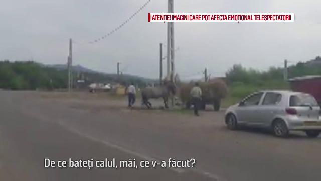 Doi barbati din judetul Bacau au fost filmati in timp ce bateau cu bestialitate un cal. Cu ce le gresise animalul
