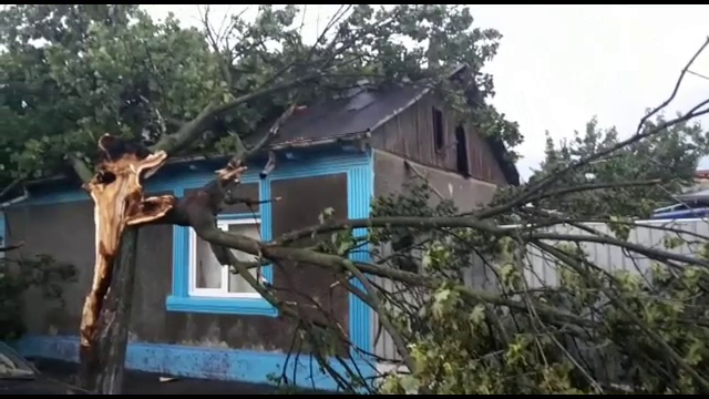 Furtuna a omorat doi oameni pana acum si a smuls sute de copaci si acoperisuri de case. Urmeaza un nou cod galben de vijelii
