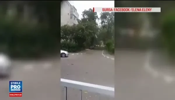 O femeie a murit lovita de un copac doborat de furtuna, la Braila. Pagube majore, in mai multe judete, provocate de vijelii