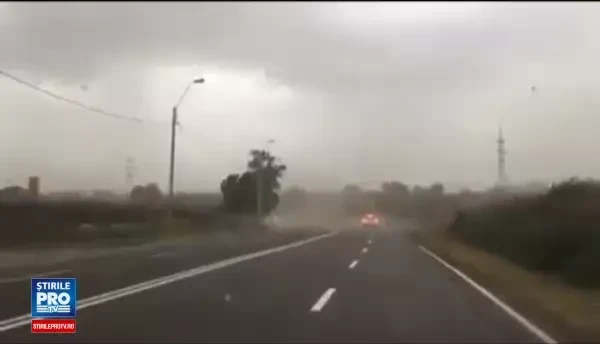 O femeie a murit lovita de un copac doborat de furtuna, la Braila. Pagube majore, in mai multe judete, provocate de vijelii