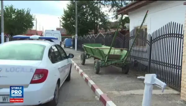 Toti caii din Targu Jiu, microcipati pentru ca proprietarii sa poata fi trasi la raspundere. Cat de grea s-a dovedit misiunea