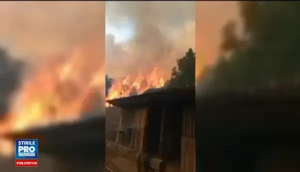 Incendii puternice de vegetatie in sudul Frantei. Peste 10.000 de oameni au fost evacuati peste noapte din calea flacarilor