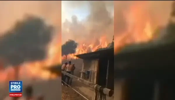 Incendii puternice de vegetatie in sudul Frantei. Peste 10.000 de oameni au fost evacuati peste noapte din calea flacarilor