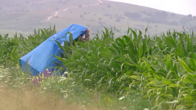 Parasutist militar mort in timpul unui exercitiu, in Brasov. Ar fi ratat zona de aterizare si a cazut intr-un lan de porumb