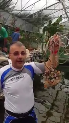 Bazinul pestilor exotici de la Delfinariul din Constanta a fost curatat dupa ce vizitatorii au aruncat monede si bancnote