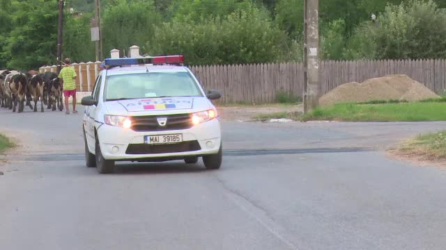 Şi-a înjunghiat fratele după s-au certat din cauza unei căruţe