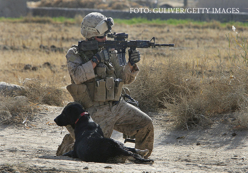 Parada militara emotionanta pentru un caine al armatei SUA bolnav de cancer. Sute de oameni i-au spus adio animalului-erou
