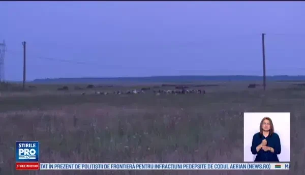 Femeie din Dambovita ucisa de trasnet. Campul magnetic al mobilului ar fi favorizat tragedia. Au luat hainele foc pe ea