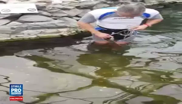 Bazinul pestilor exotici de la Delfinariul din Constanta a fost curatat dupa ce vizitatorii au aruncat monede si bancnote